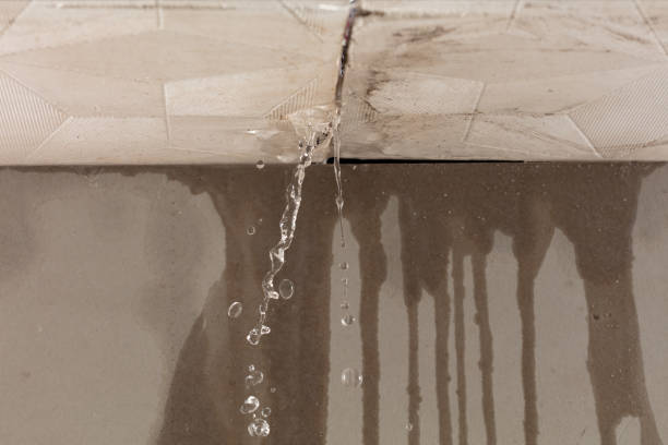 Professional Structural Drying technician working in Pierson, MI